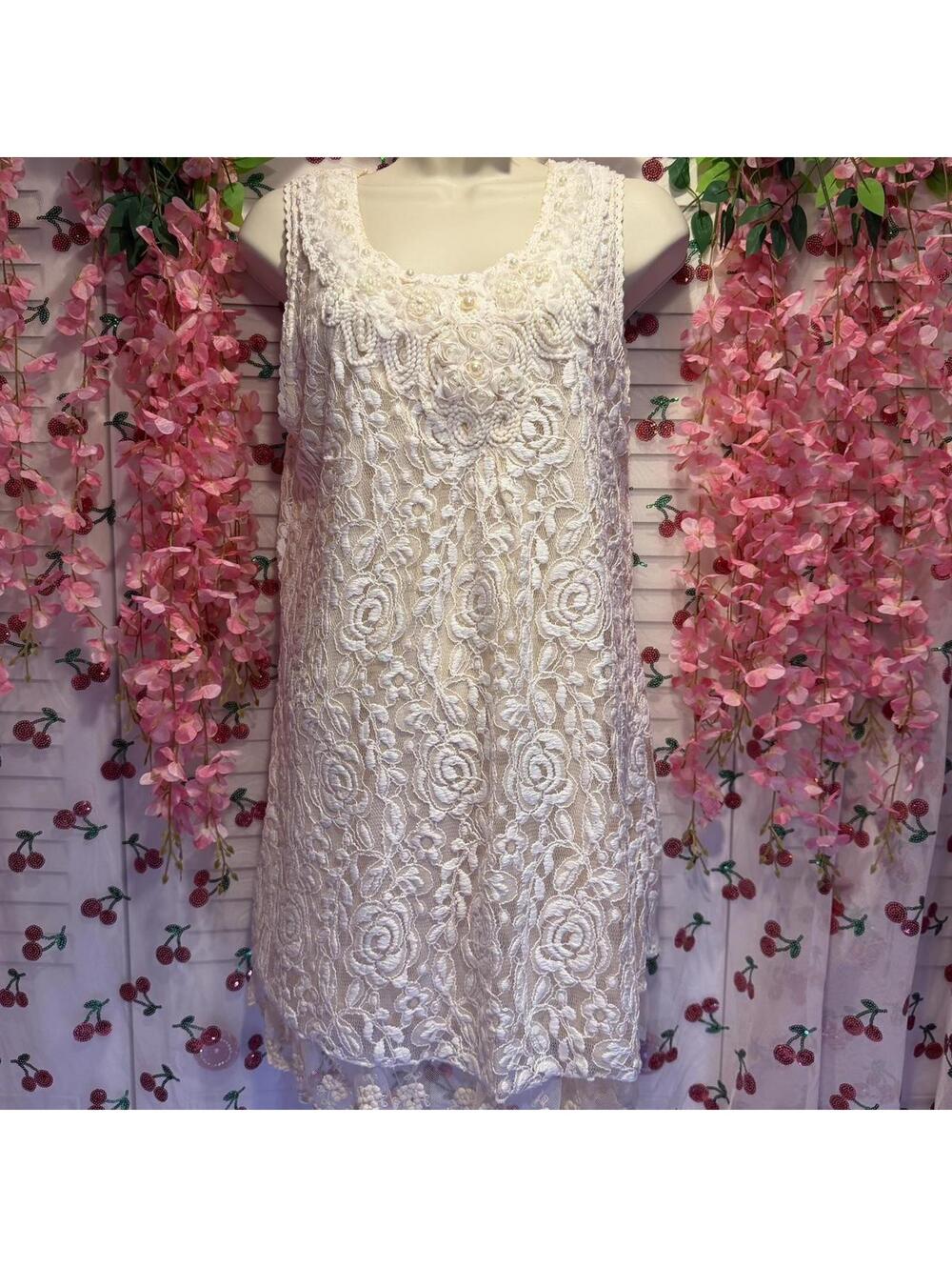 Adornit Cream Lace Dress With Beaded Details And Floral Embroidery